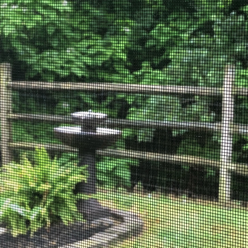 Meet your Posher, Simone